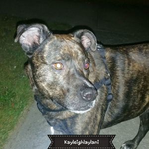 Meet your Posher, Christie lynn